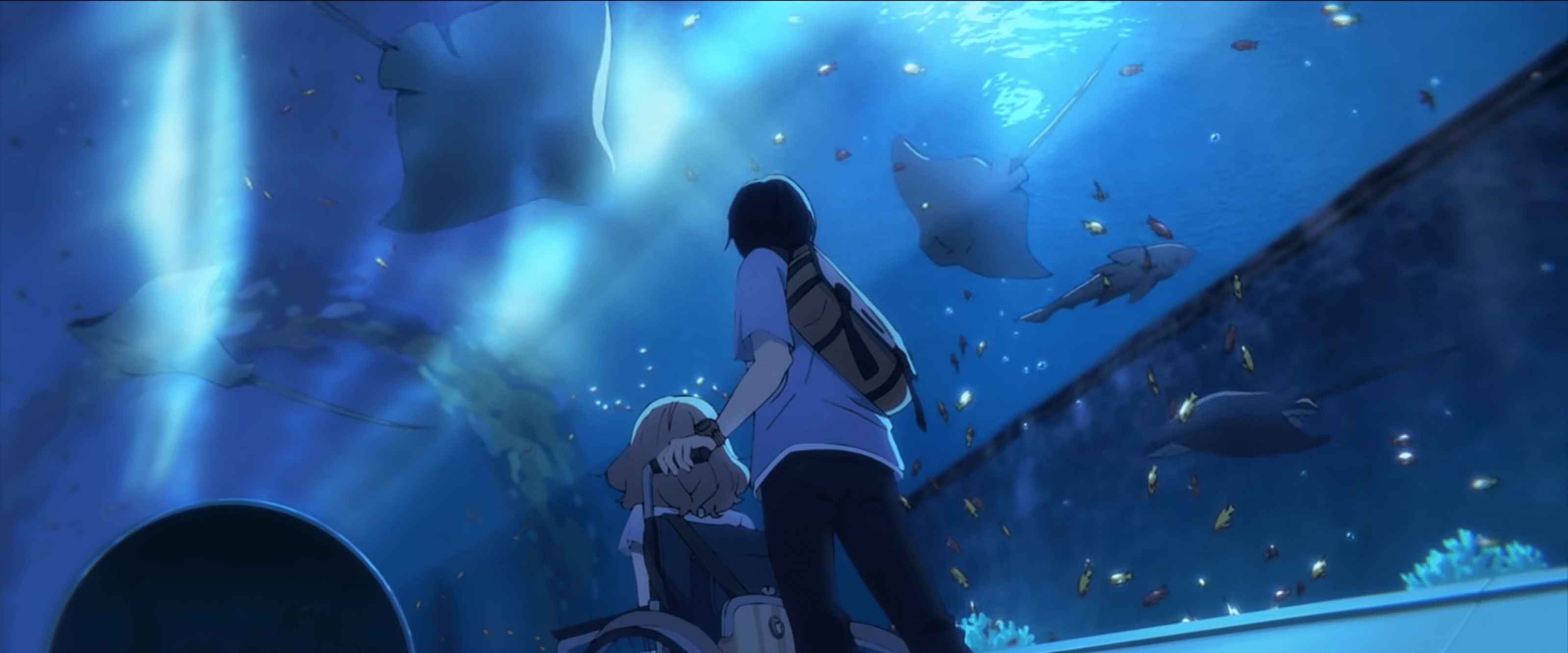 Film Bajakan Josee to Tora to Sakana-tachi Bocor dan Tersebar