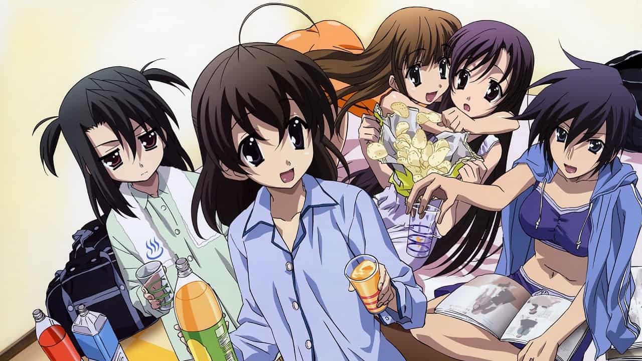 School Days akan tayang di Jepang sebagai bagian dari spesial Natal