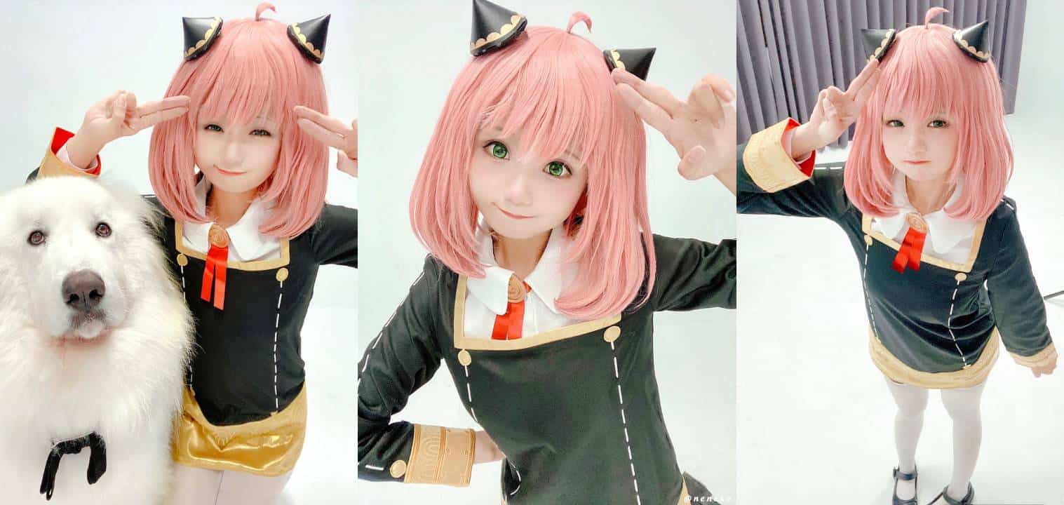 Neneko Tampil Memukau Dengan Cosplay Terbaru Karakter Loli Anya Forger, Wanggy!