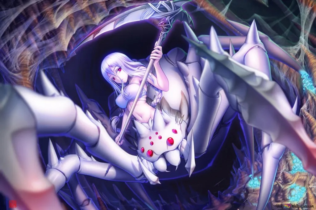 Kumo desu ga, Nani ka?