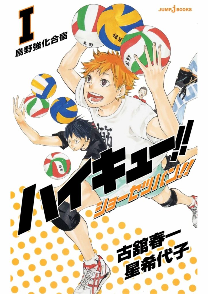 Haikyuu Novels