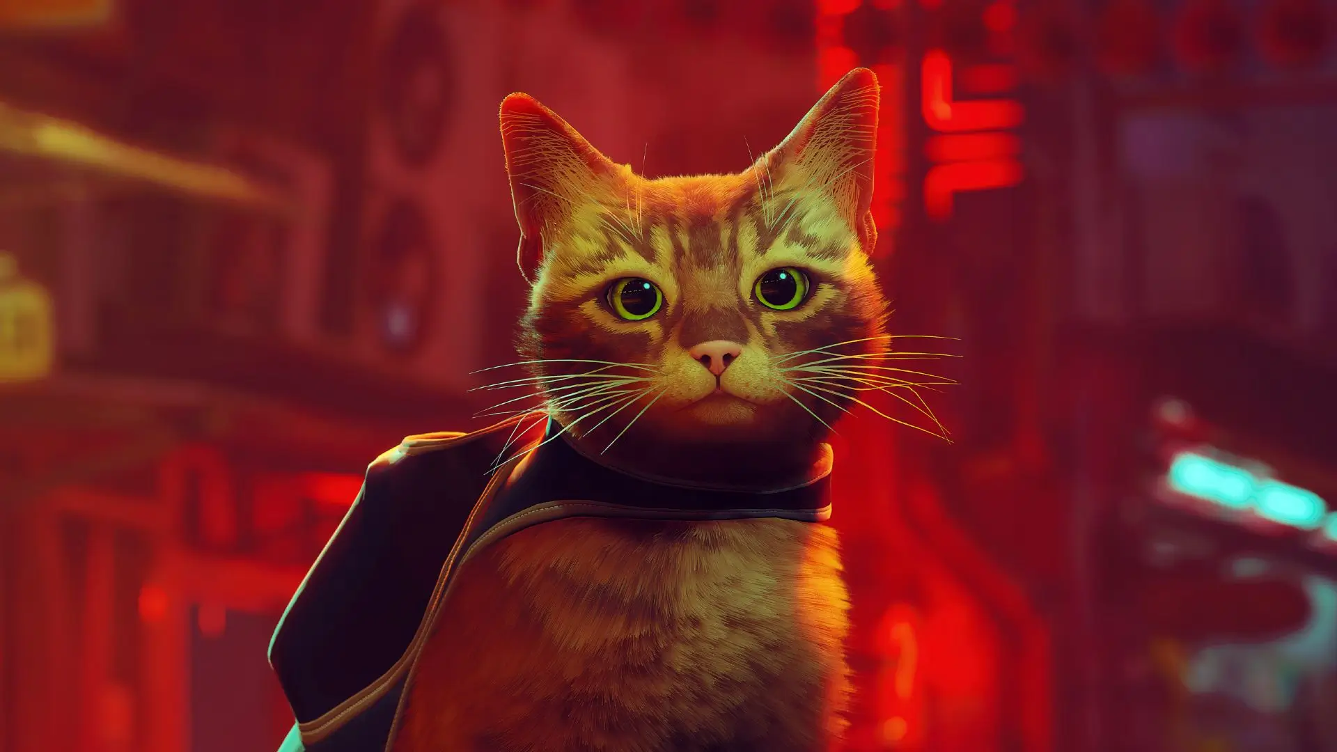 Annapurna Interactive Kena Drama Internal, Stray dan Outer Wilds Terancam?