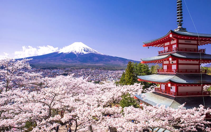 Photo by Google