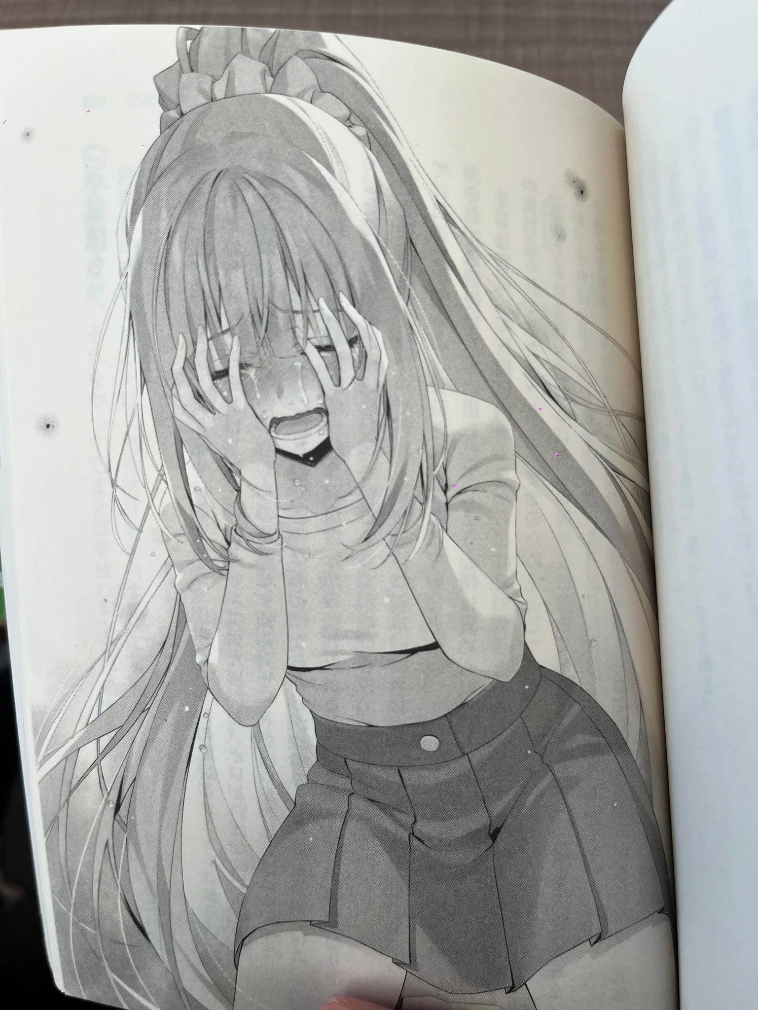 S.KINUGASA, S.TOMOSE/KADOKAWA