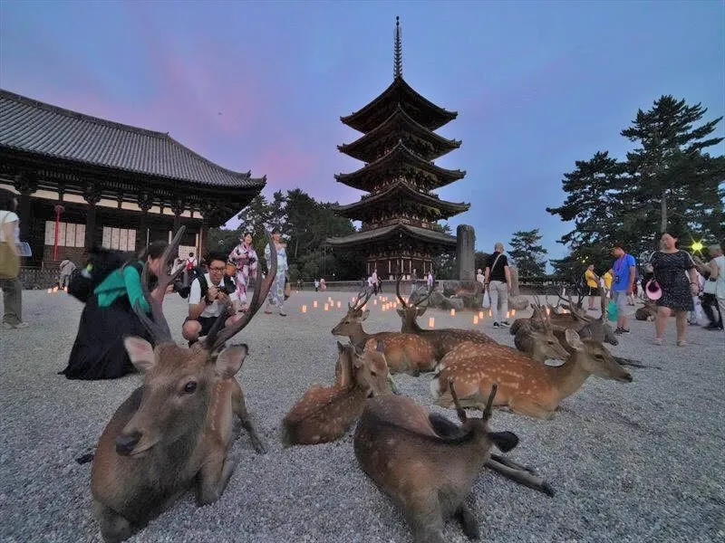 via tabimaniajapan.com