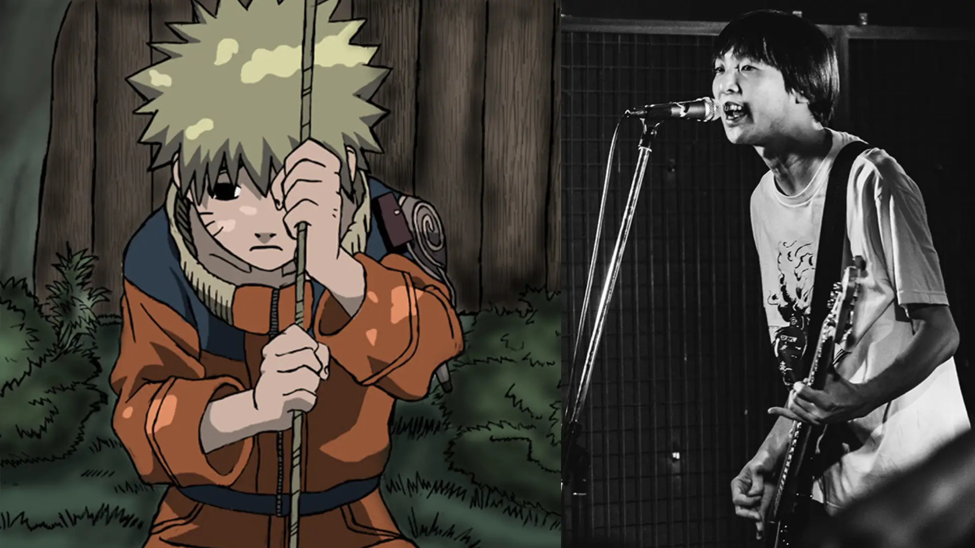 ©LD&amp;K, NARUTO ©Masashi Kishimoto, Scott / Shueisha, TV Tokyo, Pierrot