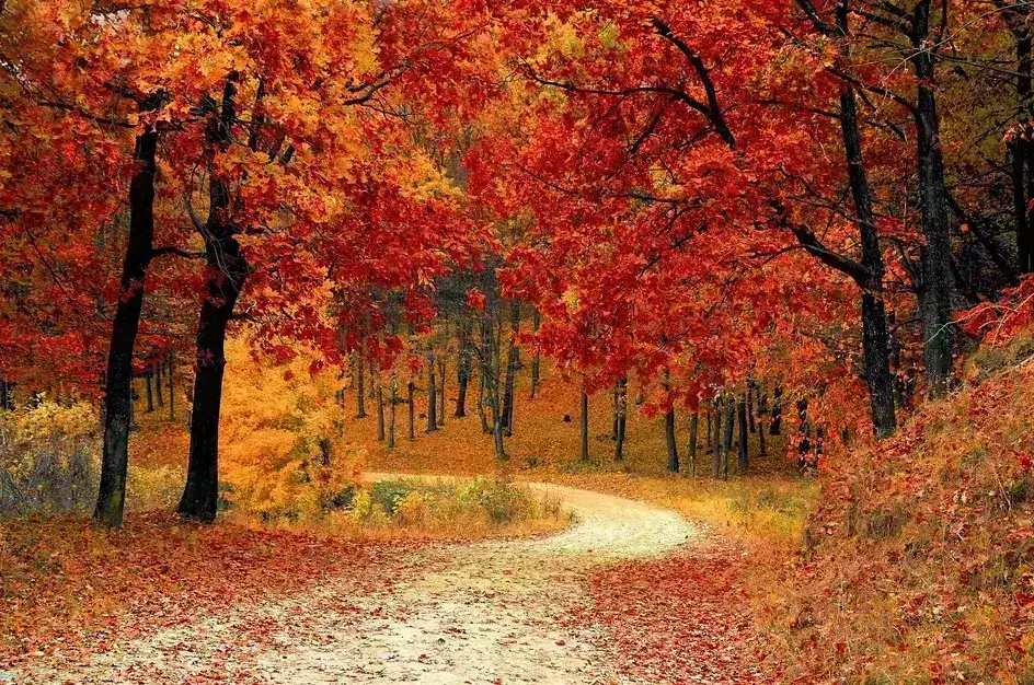 via i.pinimg.com