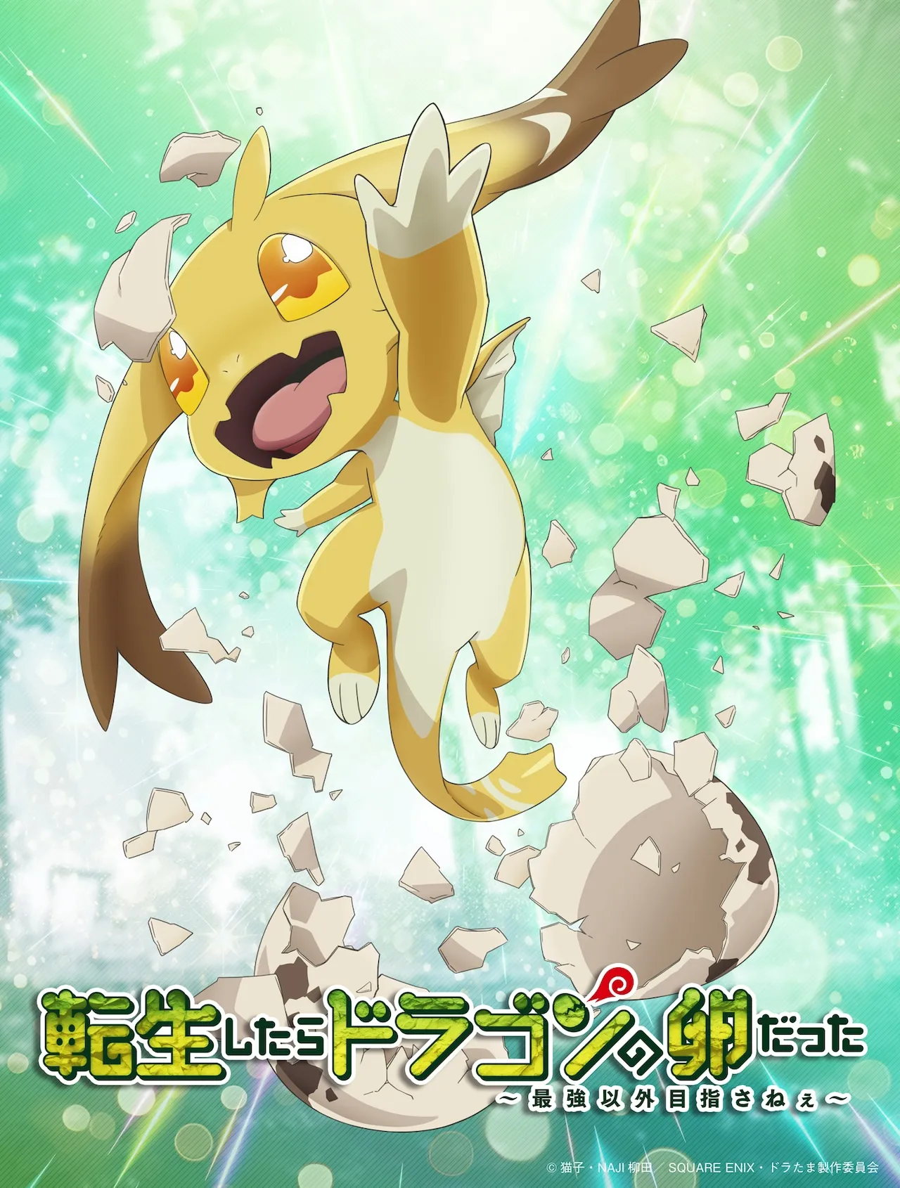doratama teaser