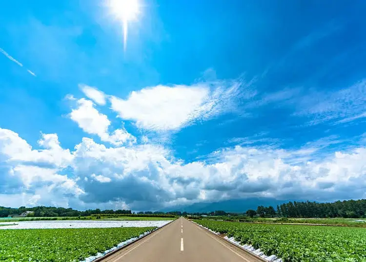 via c-lj.gnst.jp