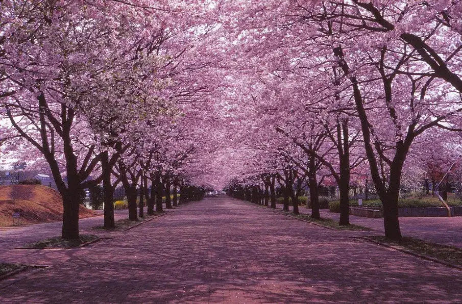 via 4.bp.blogspot.com