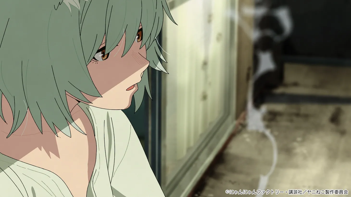 Anime Chainsmoker Cat Tayang 3 Juli 2026 di Tokyo MX & BS11!
